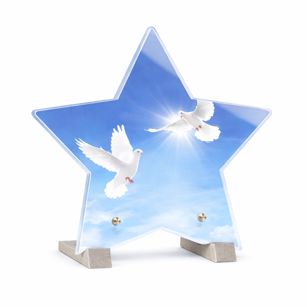 Plaque funéraire plexiglass étoile Colombe